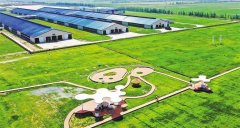 <b>“优良乳工程启动</b>