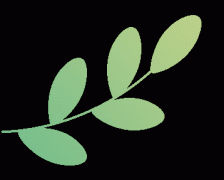 现场还设置了互动环节